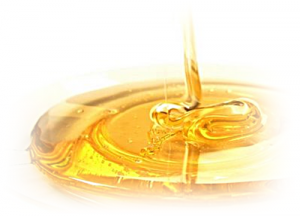 draft_lens12168971module156394547photo_1326719948Honey_500x361